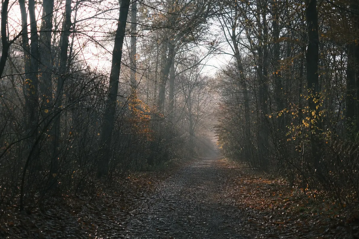 Quels sont les horaires des prostituées dans le bois de Vincennes ?